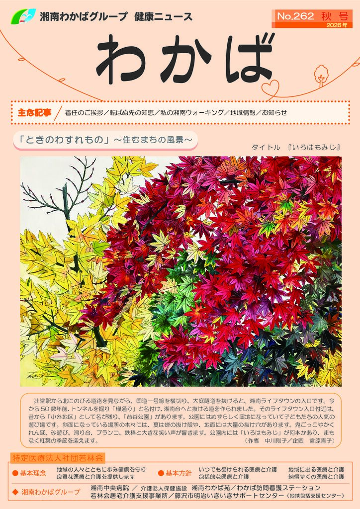 わかば262号のサムネイル